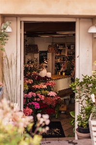 Floristry flower building floral design Photo