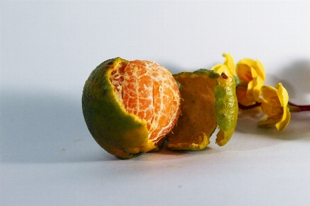 Peel citrus food mandarin orange Photo