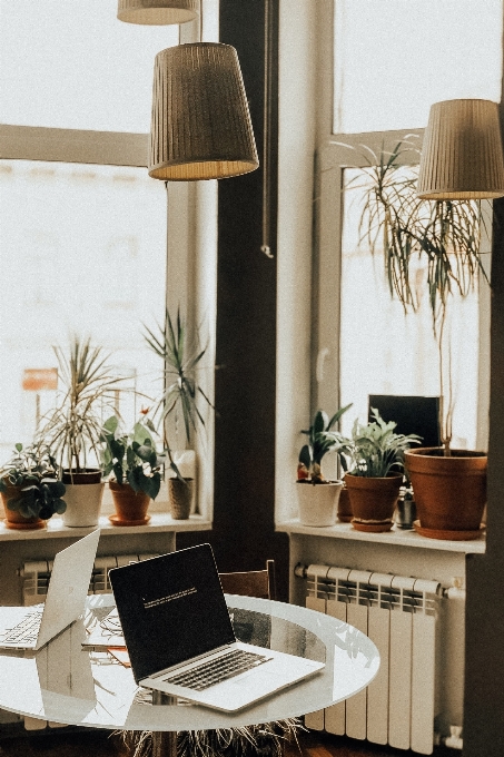 Habitación pantalla de lámpara
 muebles diseño interiores
