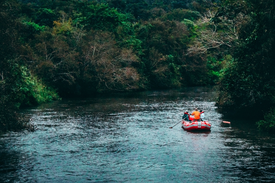 Nature water river red