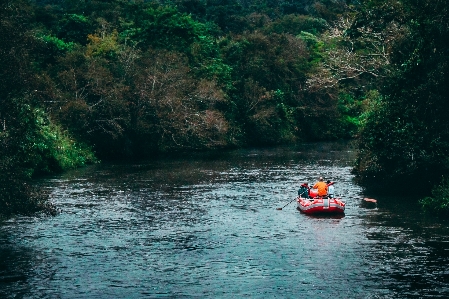 Nature water river red Photo