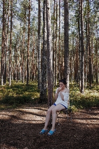 Tree people in nature forest woodland Photo