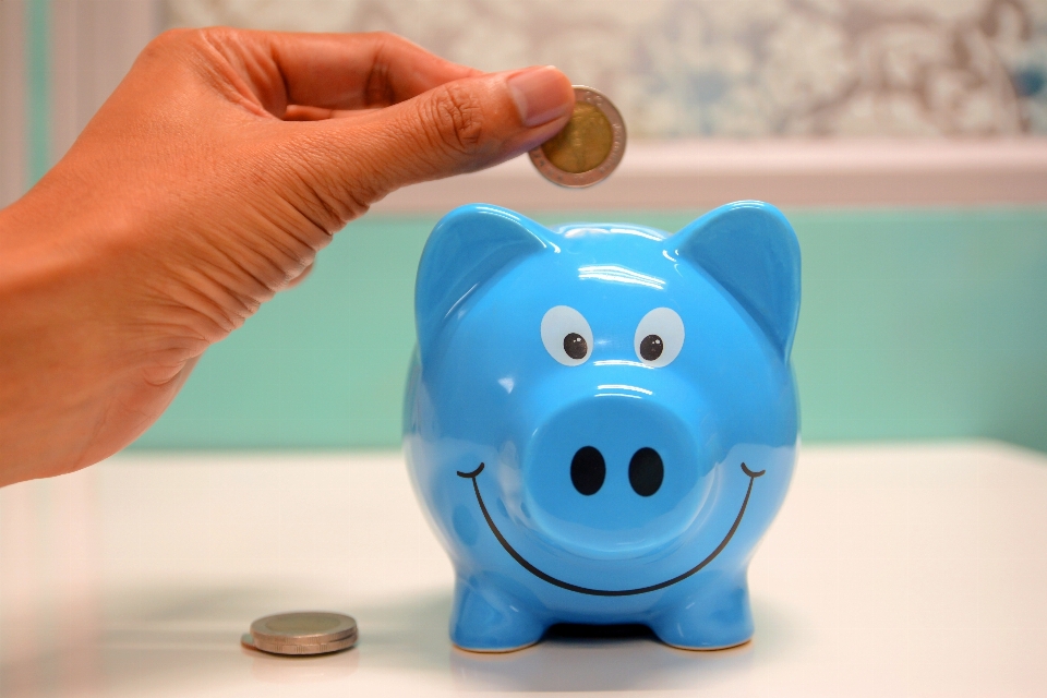 Piggy bank saving money handling animal figure