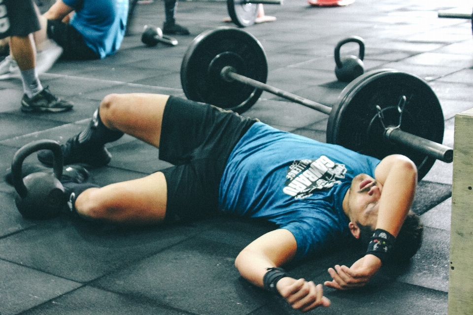 L'entraînement en force
 forme physique
 haltère poids