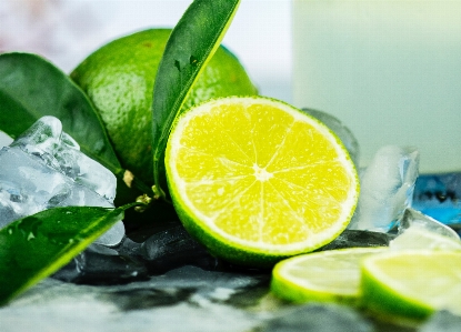 Lime key persian citrus Photo