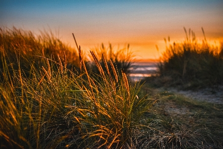 Sky nature natural landscape vegetation Photo