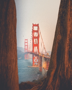 Bridge water red atmospheric phenomenon Photo