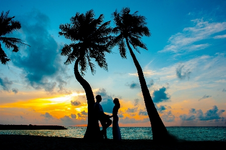 People in nature sky tree tropics Photo