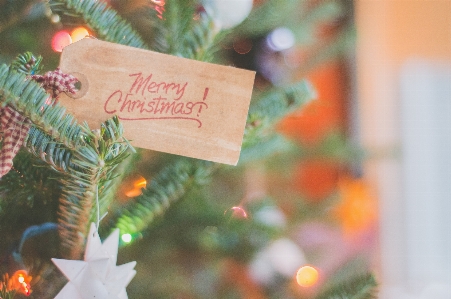 Christmas ornament tree Photo