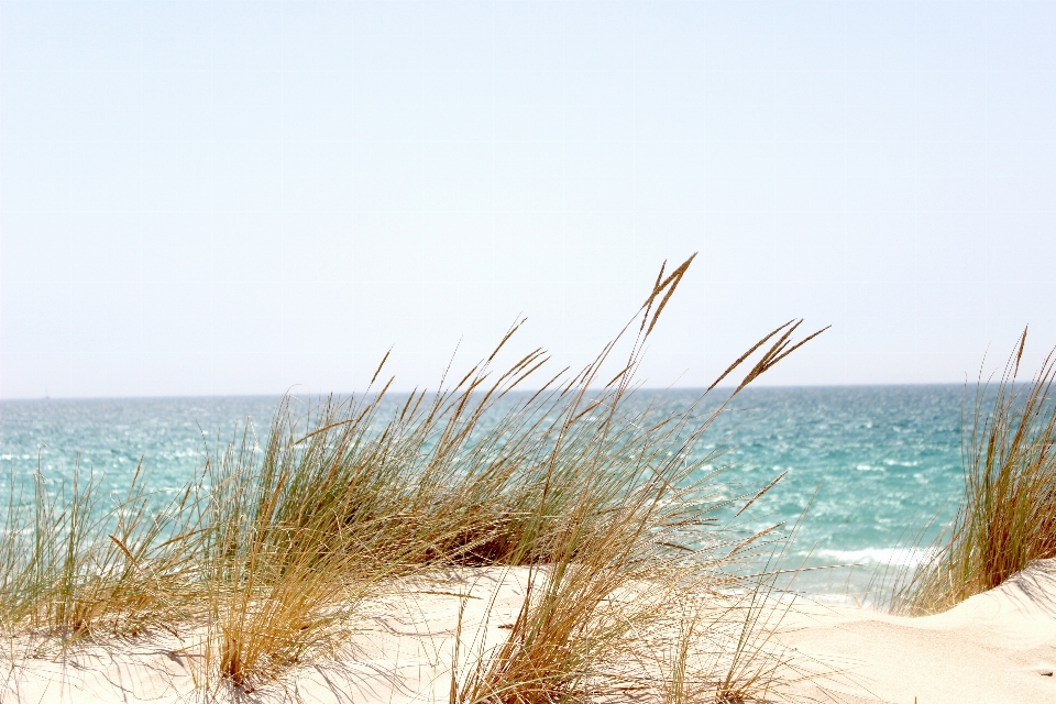 Mar playa cielo agua