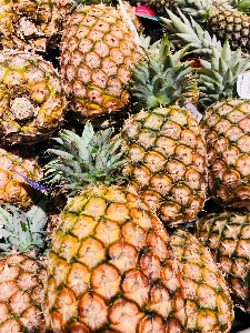 Natural foods pineapple ananas fruit Photo