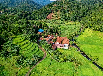 Terrace natural landscape nature hill station Photo