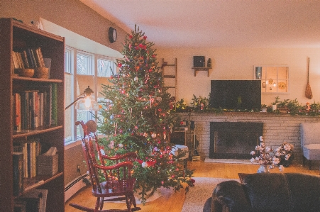 Christmas tree living room Photo