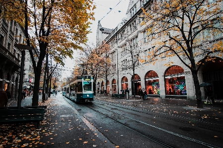 Urban area tree sky street Photo