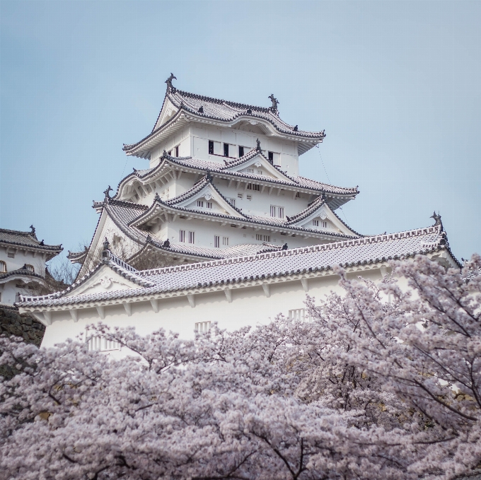 Japanese architecture flower chinese