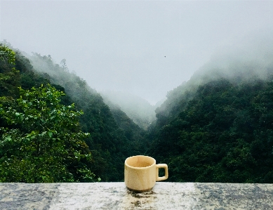 Atmospheric phenomenon green hill station morning Photo