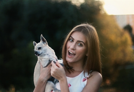 Beauty fawn photography canidae Photo