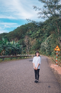 Road botany tree travel Photo