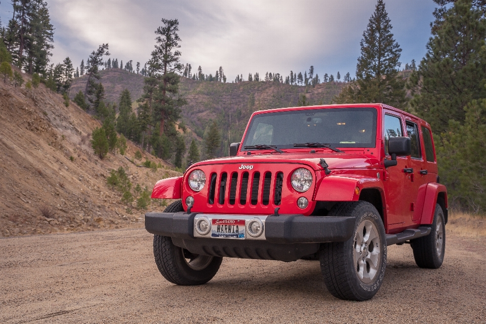 Land vehicle car jeep