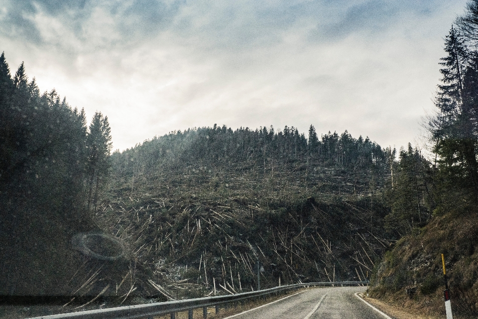 Straße himmel baum autobahn