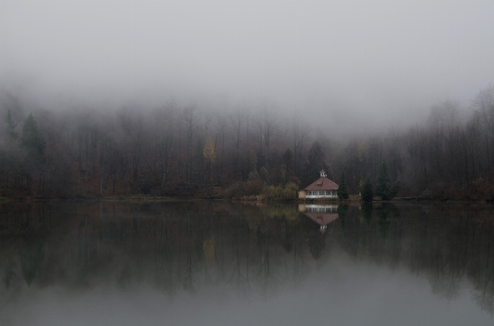 Mist fog atmospheric phenomenon sky