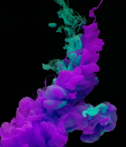 Purple violet organism smoke Photo