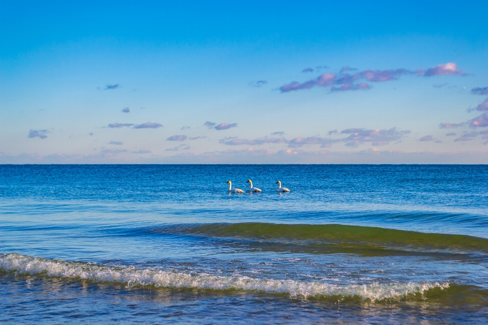 Cielo corpo d'acqua
 mare oceano