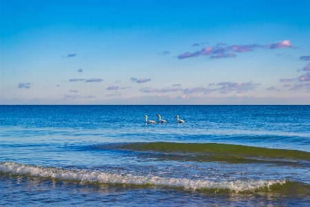 空 水域
 海 海洋 写真