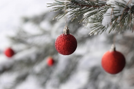 Christmas ornament tree red freezing Photo