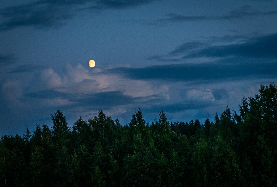 Langit bulan alam sinar