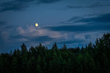 Himmel mond natur mondlicht Foto