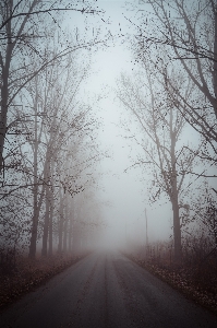 Natural landscape atmospheric phenomenon sky fog Photo