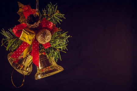 Foto Fotografía de naturaleza muerta
 tradición
 planta