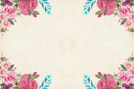 Flower floral background border Photo