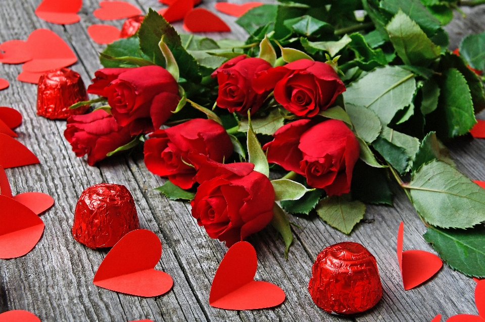 Red roses day valentines