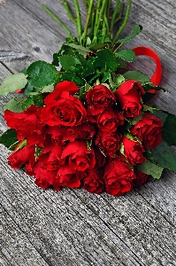 Red roses day valentines Photo