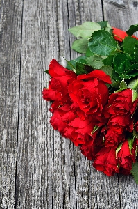 Red roses day valentines Photo