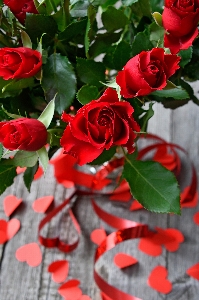 Red roses day valentines Photo