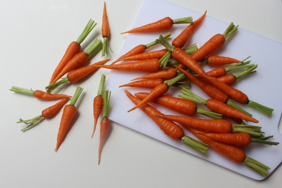 Carota bambino carino arancia