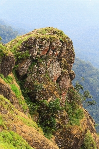 Vagamon mountain green valley Photo