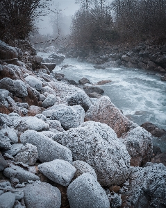 Rock stream watercourse bed Photo