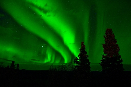 Northern lights aurora green nature Photo