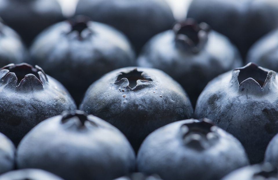 Antioxidante
 fundo baga azul