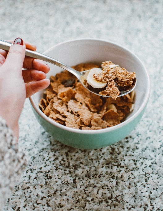 Plato alimento cocina cereales para el desayuno
