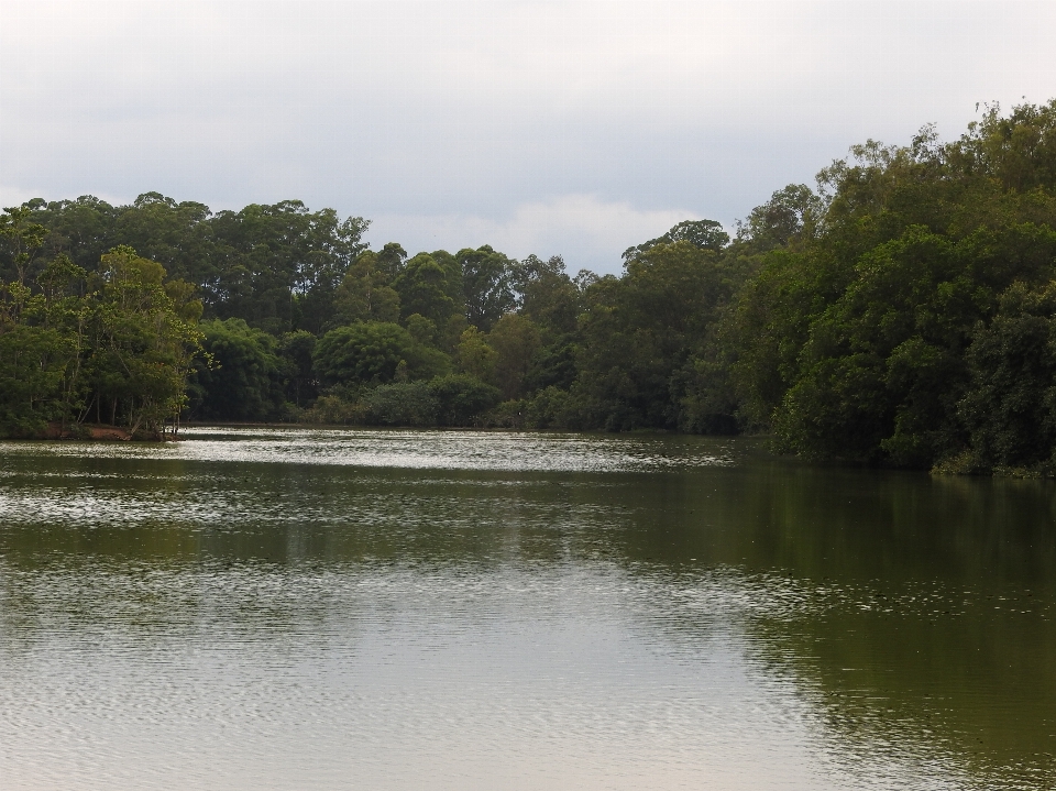 湖 公園 水域
 水資源
