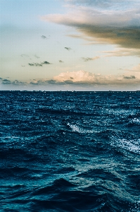 空 地平線 水域
 海 写真