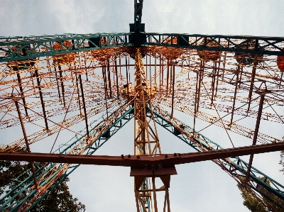 Park ferris wheel carousel attraction Photo