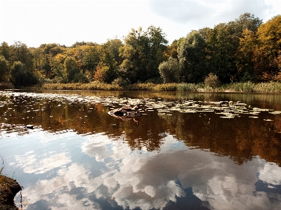 Park nature recreation area trees Photo