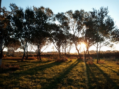 Park nature recreation area trees Photo