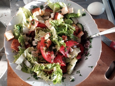 Food salad bowl dish Photo